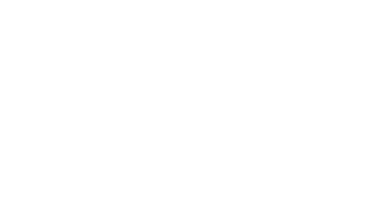 Mindset Ventures Logo